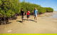 Crossing Country 5 Day Yolngu Homeland Tour - thumb 6