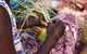 Crossing Country 5 Day Yolngu Homeland Tour - thumb 8