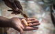 Karrke Aboriginal Cultural Experience - thumb 4