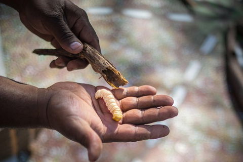 Karrke Aboriginal Cultural Experience - Accommodation Australia 4