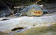 Ethical Adventures - Kakadu 2 Day- Max 10 Guests - thumb 3