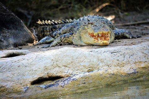 Ethical Adventures - Kakadu 2 Day- Max 10 Guests - Accommodation Australia 3