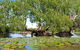 Ethical Adventures - Kakadu 2 Day- Max 10 Guests - thumb 10