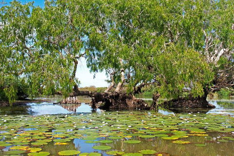 Ethical Adventures - Kakadu 2 Day- Max 10 Guests - Accommodation Australia 10