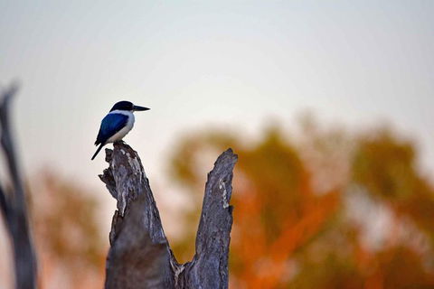 Ethical Adventures - Kakadu 2 Day- Max 10 Guests - Accommodation Australia 4