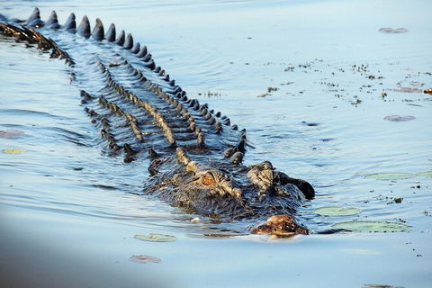 Ethical Adventures - Kakadu 2 Day- Max 10 Guests - Accommodation Australia 8