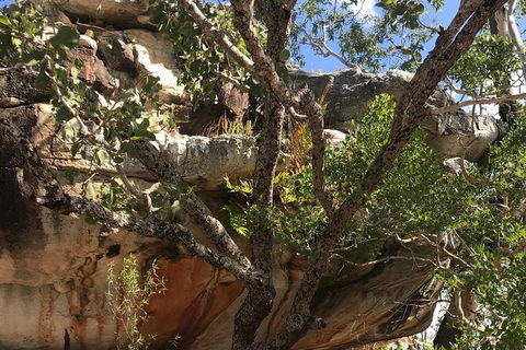 2-Hour 4WD Tour: Groote Eylandt Snapshot - Accommodation Australia 3