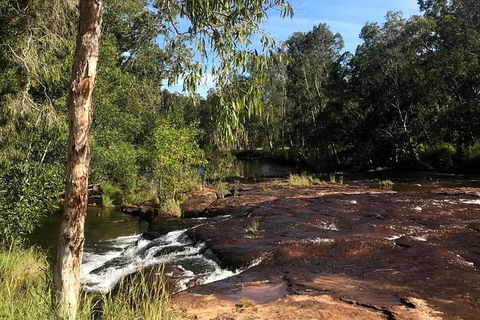 4-Hour Groote Eylandt Explorer 4WD Tour - Accommodation Australia 5