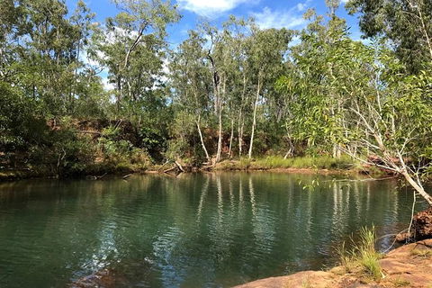 4-Hour Groote Eylandt Explorer 4WD Tour - Accommodation Australia 0