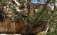4-Hour Groote Eylandt Explorer 4WD Tour - thumb 1