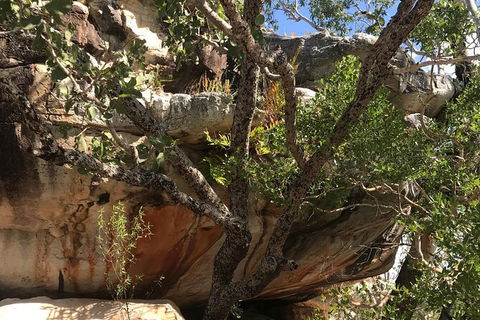 4-Hour Groote Eylandt Explorer 4WD Tour - Accommodation Australia 1