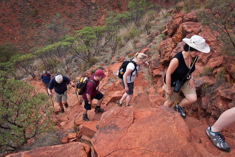 Uluru, Kata Tjuta And Kings Canyon Camping Safari From Alice Springs - Local Tourism 3