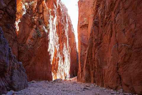 Best Of Alice Springs Full Day Tour - Local Tourism 6