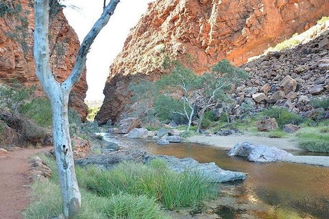 Alice Springs, Uluru Ayers Rock & Kings Canyon 8 Days Touring Package - Accommodation Australia 2