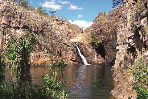 Kakadu, Katherine & Litchfield Adventure - Accommodation Australia 1