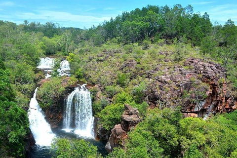 Darwin: Premium Litchfield Regional 11 Hours Tour - Accommodation Australia 5