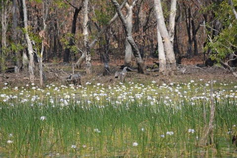 Darwin: Premium Litchfield Regional 11 Hours Tour - Accommodation Australia 4