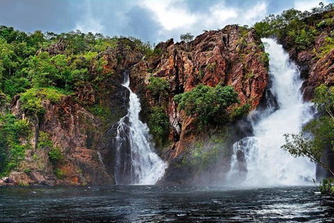 Darwin: Premium Litchfield Regional 11 Hours Tour - Accommodation Australia 0