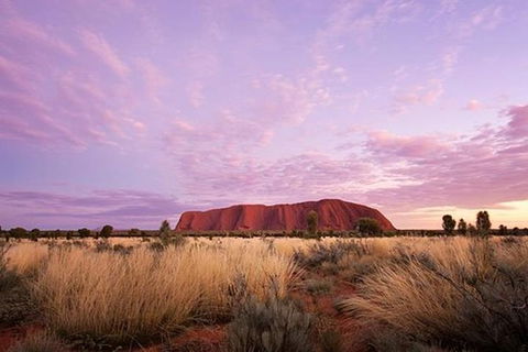Sunset Australian Barbecue Dinner In Uluru - Local Tourism 0
