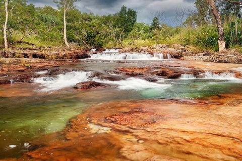 Full-Day Private Guided Tour To Litchfield National Park - Accommodation Australia 14