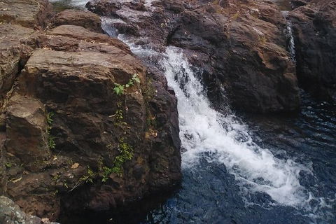Full-Day Private Guided Tour To Litchfield National Park - Accommodation Australia 8
