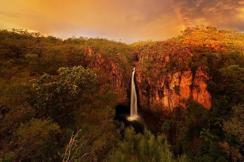 Full-Day Private Guided Tour To Litchfield National Park - Accommodation Australia 20