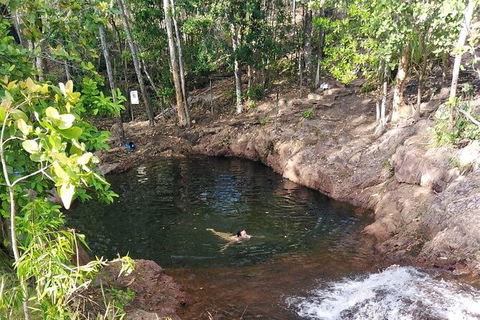 Full-Day Private Guided Tour To Litchfield National Park - Accommodation Australia 18