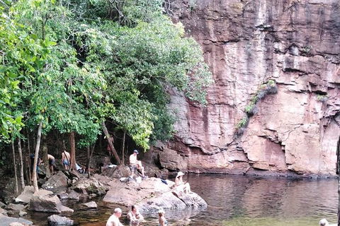 Full-Day Private Guided Tour To Litchfield National Park - Accommodation Australia 16