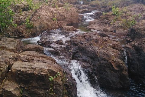 Full-Day Private Guided Tour To Litchfield National Park - Accommodation Australia 15