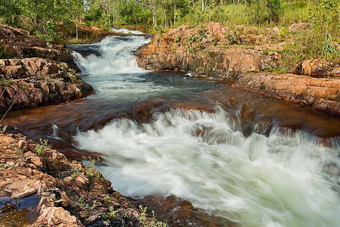 Full-Day Private Guided Tour To Litchfield National Park - Accommodation Australia 3