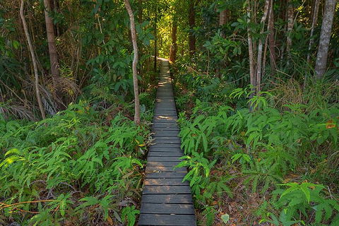 Full-Day Private Guided Tour To Litchfield National Park - Accommodation Australia 7
