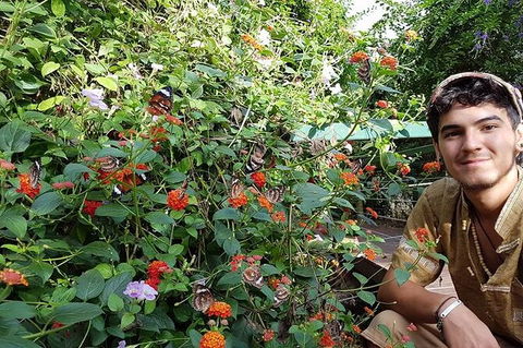 Full-Day Private Guided Tour To Litchfield National Park - Accommodation Australia 17