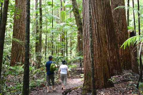 All-Inclusive Fraser Island Day Tour - Accommodation Australia 6