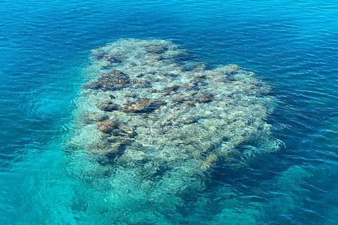 Lady Musgrave Day Trip From Bundaberg Including Snorkeling, Glass Bottom Tour And Guided Island Walk - Accommodation Australia 2
