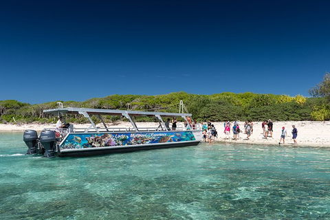 Lady Musgrave Day Trip From Bundaberg Including Snorkeling, Glass Bottom Tour And Guided Island Walk - Accommodation Australia 5