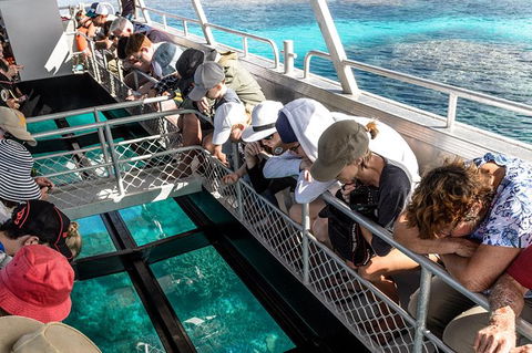 Lady Musgrave Day Trip From Bundaberg Including Snorkeling, Glass Bottom Tour And Guided Island Walk - Accommodation Australia 3