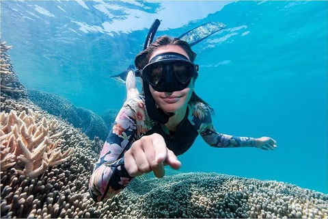 Lady Musgrave Day Trip From Bundaberg Including Snorkeling, Glass Bottom Tour And Guided Island Walk - Accommodation Australia 1