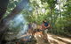 Aboriginal Cultural Daintree Rainforest Tour From Cairns Or Port Douglas - thumb 3