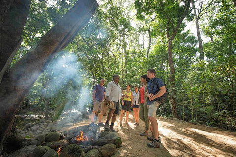 Aboriginal Cultural Daintree Rainforest Tour From Cairns Or Port Douglas - Accommodation Australia 3