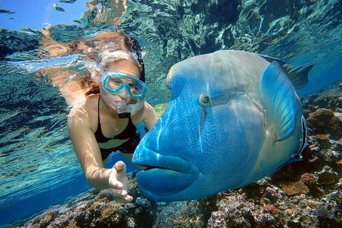 Cairns 2-Day Combo: Great Barrier Reef Cruise And Kuranda - Local Tourism 0