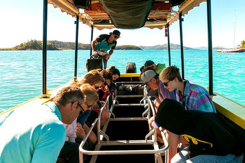 Airlie Beach Glass Bottom Boat Tour - Accommodation Australia 5