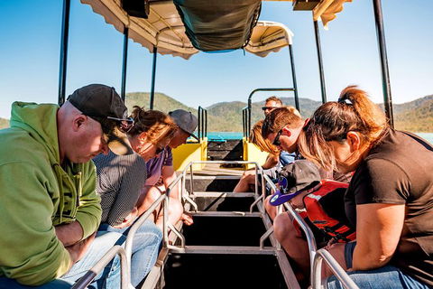 Airlie Beach Glass Bottom Boat Tour - Accommodation Australia 12