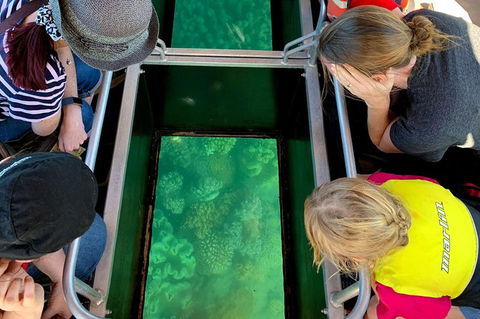Airlie Beach Glass Bottom Boat Tour - Accommodation Australia 11