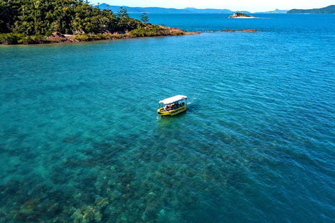 Airlie Beach Glass Bottom Boat Tour - Accommodation Australia 8