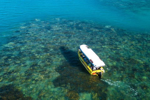 Airlie Beach Glass Bottom Boat Tour - Accommodation Australia 9