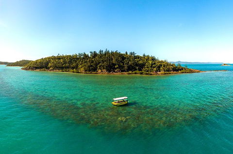 Airlie Beach Glass Bottom Boat Tour - Accommodation Australia 0