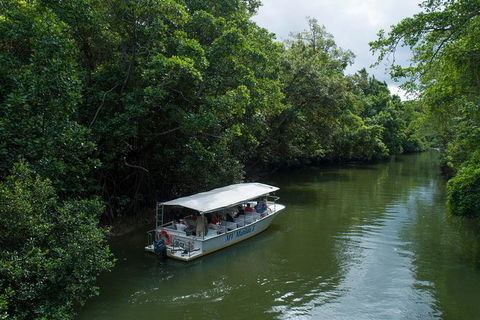 Daintree Rainforest, Cape Tribulation And Bloomfield Track Small Group Tour - Accommodation Australia 5