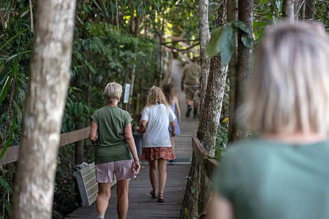 Daintree Rainforest, Cape Tribulation And Bloomfield Track Small Group Tour - Accommodation Australia 15