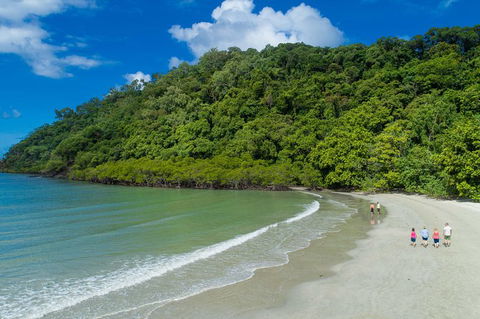Daintree Rainforest, Cape Tribulation And Bloomfield Track Small Group Tour - Accommodation Australia 2