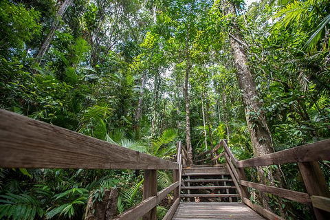 Daintree Rainforest, Cape Tribulation And Bloomfield Track Small Group Tour - Accommodation Australia 13